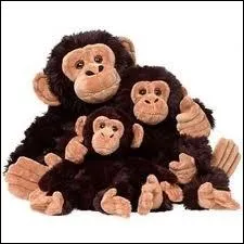 Quelle est l'espce de cette famille en peluche ?