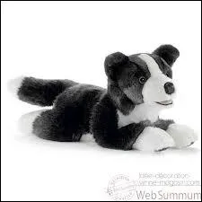 De quelle race est ce chien en peluche ?