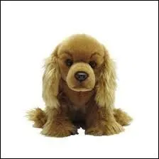 De quelle race est ce chien en peluche ?