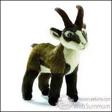 Quel animal cette peluche est-elle ?