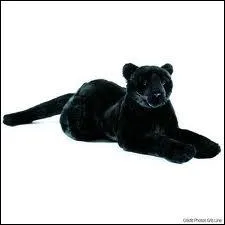 Quel animal cette peluche est-elle ?