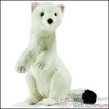 Quel animal cette peluche est-elle ?