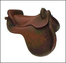 Quelle est cette selle ?