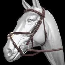 Voici un filet muserolle...