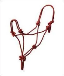 Quel est cet quipement ?