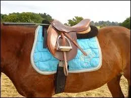 Puis-je monter sur ce cheval aprs avoir descendu l'triller ? Ou il manque quelque chose ?