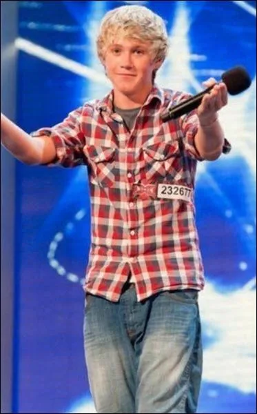 Quelle tait la couleur des chaussures de Niall lors de son passage  l'mission X Factor ?