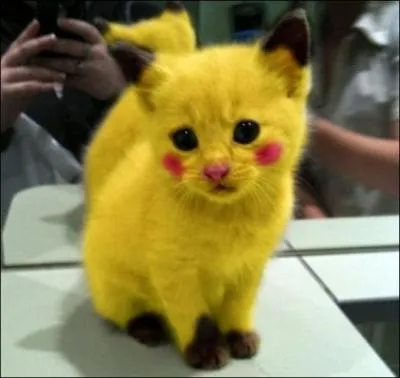 Peut changer de forme :