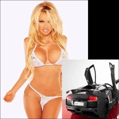 Pamela Anderson, une voiture d'occasion, ou les deux ? Elle est blonde :