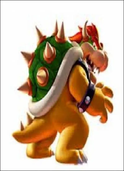 Bowser est :