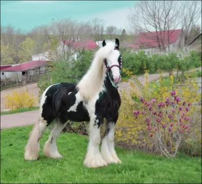  Et l'on se sent blanchi comme un cheval fourbu / et l'on se sent glac dans un lit de hasard.  