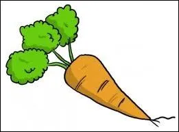 Quel membre adore les carottes ?