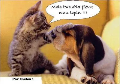 Tout, tout, je vous dirai tout sur tout ! Quelle est la nature de  tout  dans la phrase qui suit ? Tout homme est mortel.