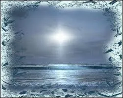 Le jour s'est lev sur une trange ide, je crois que j'ai rv :