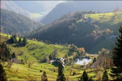 Quel fleuve prend sa source dans la Fort Noire ?
