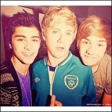 En quelle anne sont ns Liam, Zayn et Niall ?
