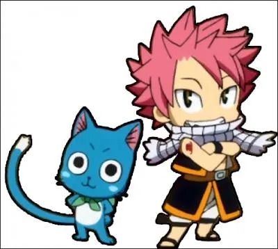 De quoi Natsu fait attention malgr les apparences ?