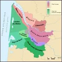 L'entre-deux-mers qui est un vin blanc sec, floral, frais est issus d'un vignoble situ entre... ...