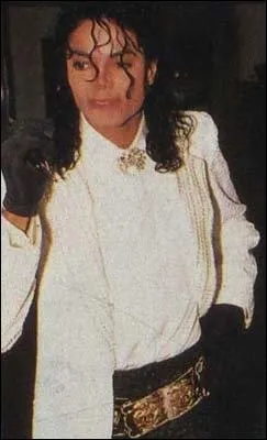 Michael Jackson avait-il une adresse MSN ?