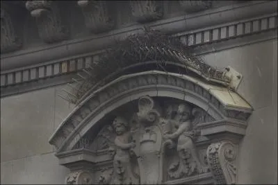 Ces deux-l font partie des fables de Jean de La Fontaine, le faucon et ...