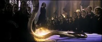 Quel sortilge peut-tre utilis contre des serpents ?