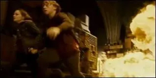 Quel sortilge n'a aucun lien avec l'lment du feu ?