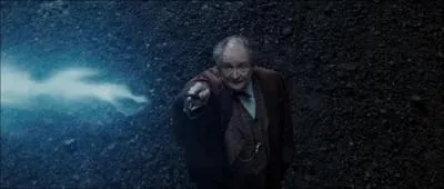 Quel sortilge n'est pas utilis dans la protection du chteau de Poudlard avant la bataille ?