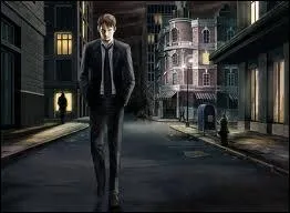 Je marche seul et la nuit me pardonne...