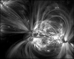 Ce rythme qui t'entrane jusqu'au bout de la nuit rveille en toi le tourbillon d'un vent de folie ...