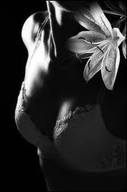 Laisse moi t'aimer rien qu'une nuit ...