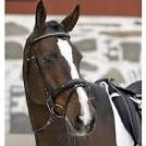 Quiz Galop 2