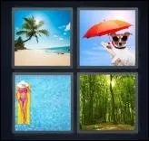 Quel mot s'apparente  ces 4 images :