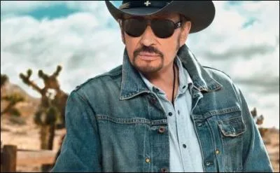 De quelle enseigne Johnny Hallyday crie-t-il le nom dans cette publicit ?