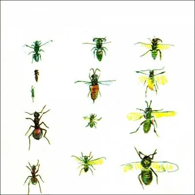 Comment s'intitule son deuxime et dernier album solo ?