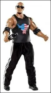 Je suis champion WWE en fvrier 2013 ! Je suis :