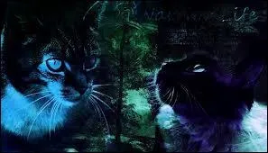 Qui sont les demi-frre et demi-soeur de Petite Feuille ?