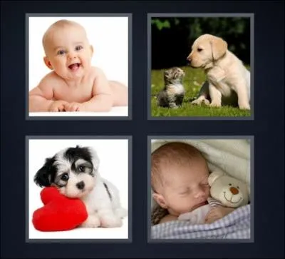 Quel mot s'apparente  ces 4 images :