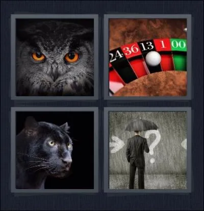 Quel mot s'apparente  ces 4 images :