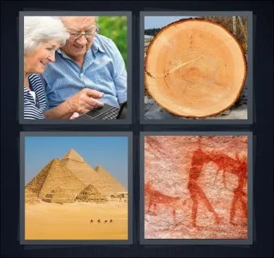 Quel mot s'apparente  ces 4 images :