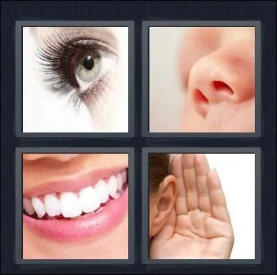 Quel mot s'apparente  ces 4 images :