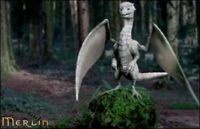 Comme s'appelle le Dragon Blanc