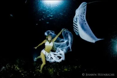 La raie peut tre pastenague, o comme sur les photos ...