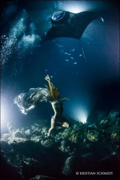 En toutes circonstances, il faut rai... garder !