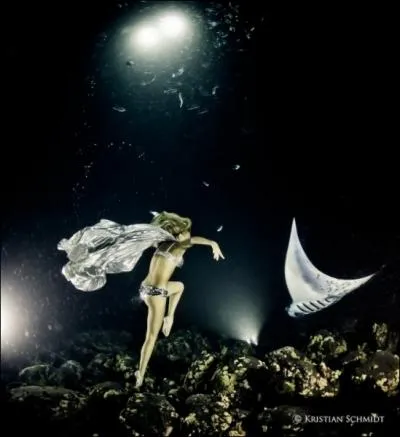 C'est une sculpture ornementale !