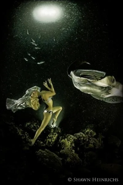 En accord avec John Steinbeck, John Ford nous dclare dans ce film qu'ils sont de la colre !