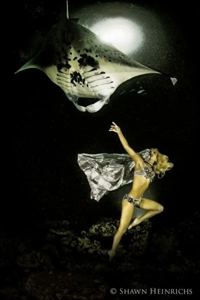 Sa racine est charnue, on peut le consommer !