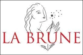 Quel est ce logo de dictionnaire ?