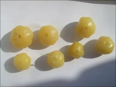 Comment appelle-t-on les girembelles ?