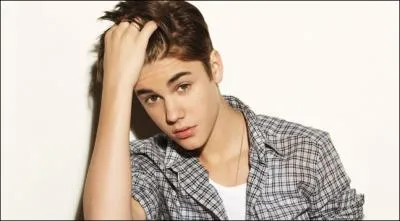 Quel est le boulot qu'il aurait fait s'il n'avait pas t chanteur ?