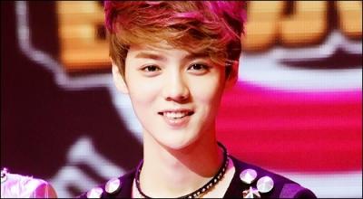 Comment Luhan a-t-il t dcouvert par la SM ?